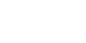 INE Security